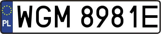 WGM8981E