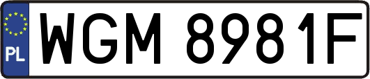 WGM8981F