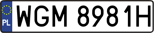 WGM8981H