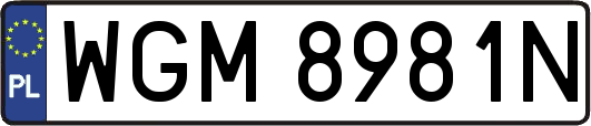 WGM8981N