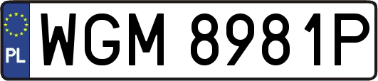 WGM8981P