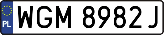 WGM8982J