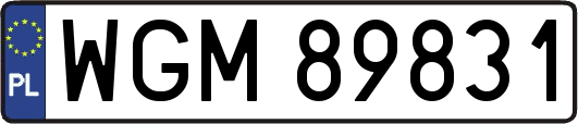 WGM89831