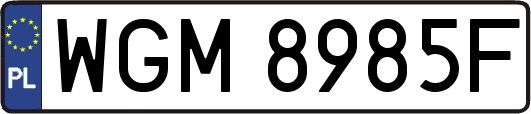 WGM8985F