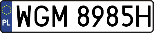 WGM8985H