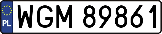 WGM89861