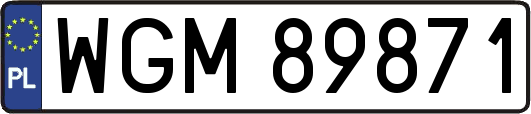 WGM89871