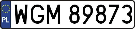 WGM89873