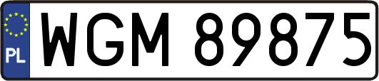 WGM89875
