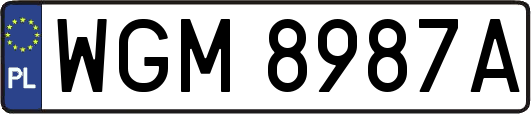 WGM8987A