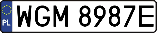 WGM8987E