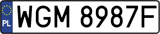 WGM8987F