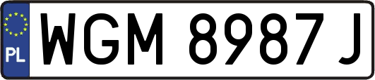 WGM8987J