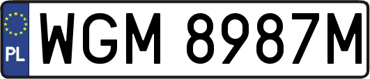 WGM8987M