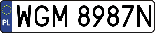 WGM8987N