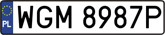 WGM8987P
