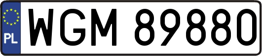 WGM89880