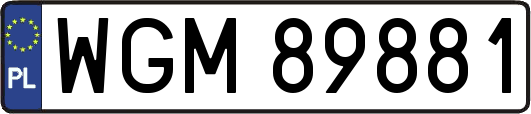 WGM89881