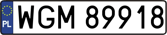 WGM89918