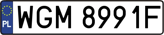 WGM8991F