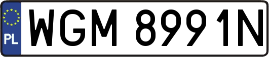 WGM8991N