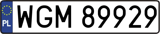 WGM89929