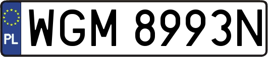WGM8993N