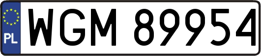 WGM89954