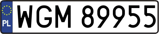 WGM89955