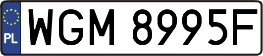 WGM8995F