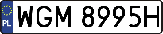 WGM8995H