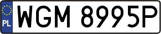 WGM8995P