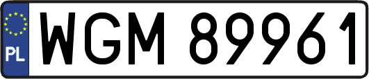 WGM89961