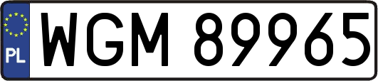 WGM89965
