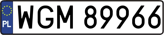 WGM89966