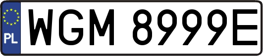 WGM8999E
