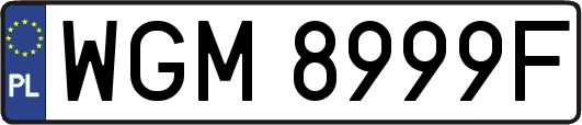 WGM8999F