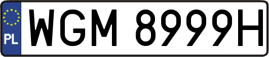 WGM8999H