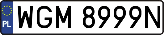 WGM8999N