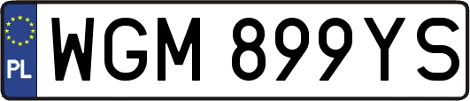 WGM899YS