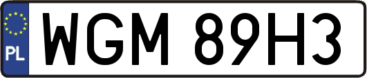 WGM89H3