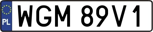 WGM89V1