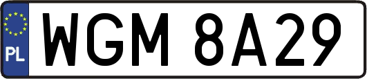 WGM8A29