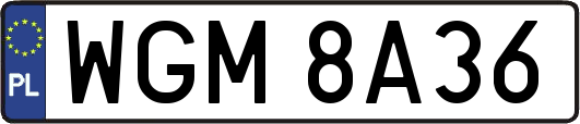 WGM8A36