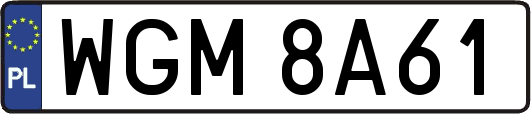 WGM8A61