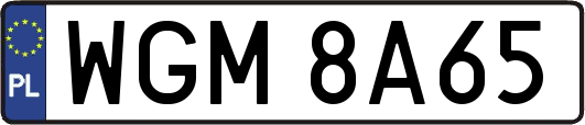 WGM8A65