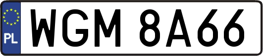 WGM8A66