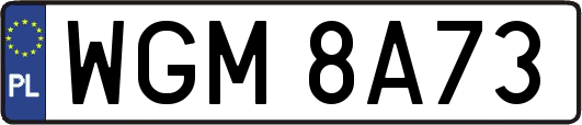 WGM8A73