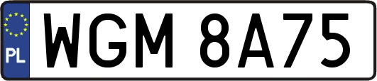 WGM8A75