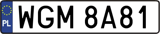 WGM8A81
